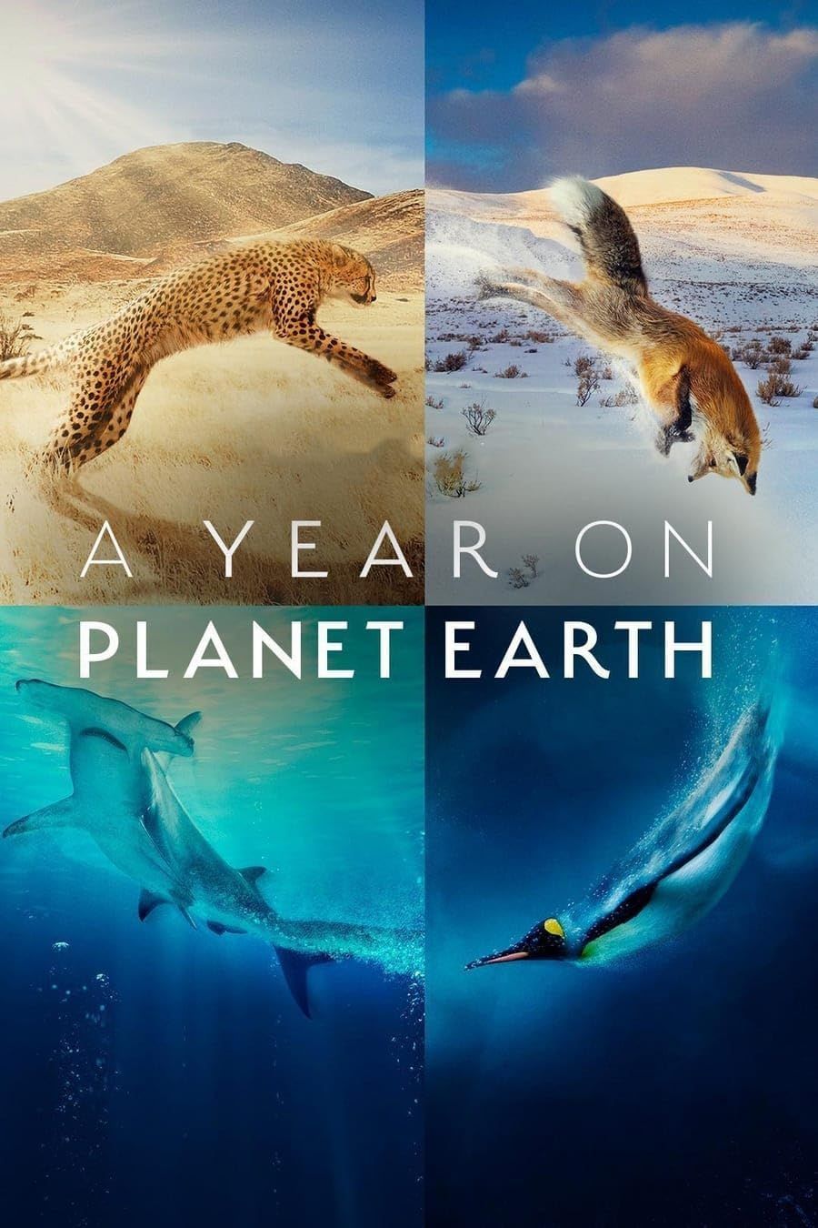 A Year on Planet Earth (Season1) 2022 Hindi Dubbed HDRip HDRip