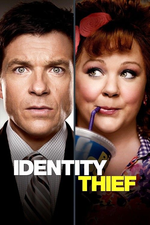 Identity Thief (2013) Hindi Dubbed BluRay