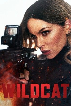 Wildcat (2025) Hindi Dubbed